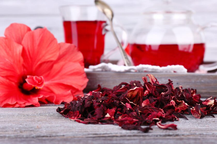 Afrika bamyası HİBUSKUS (Hibiscus sabdariffa)