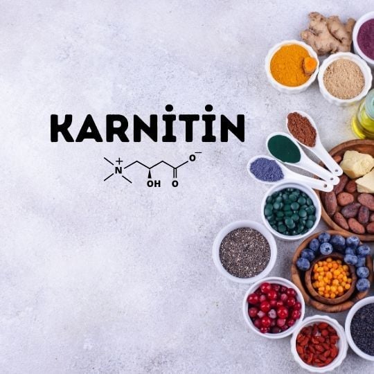 KARNİTİN