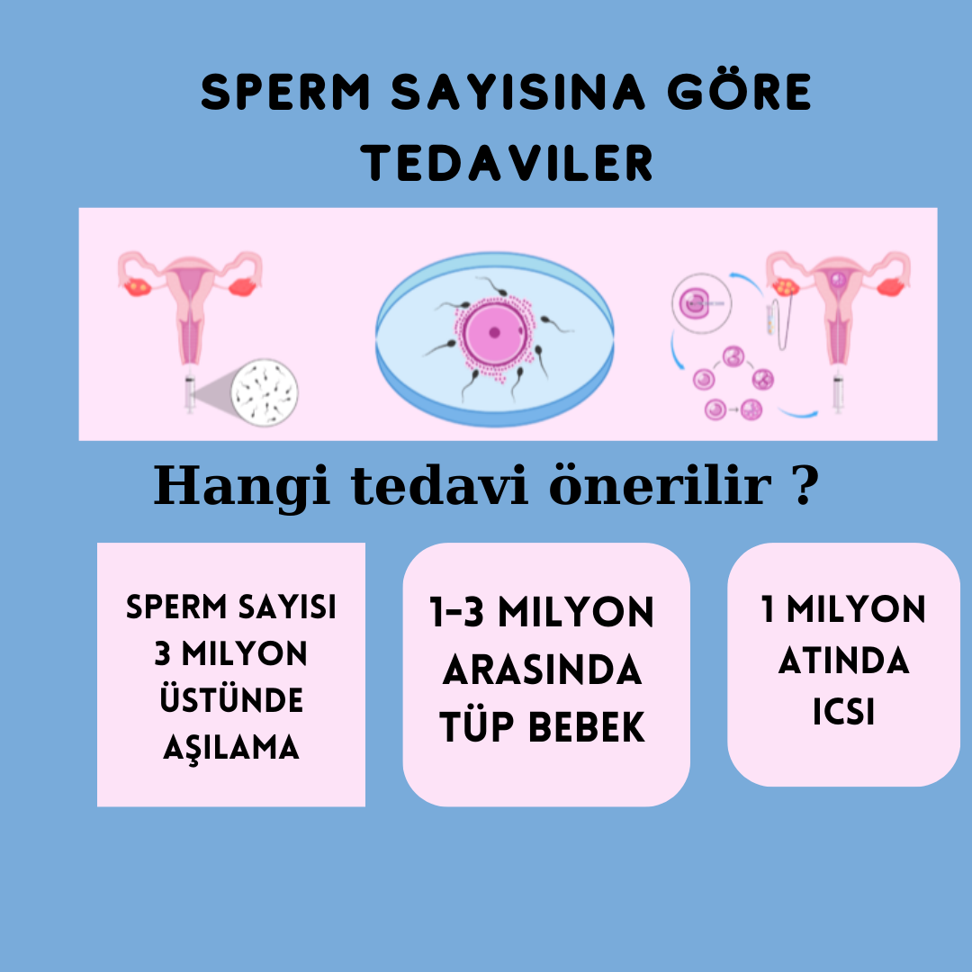sperm sayısına göre gebelik tedavisi seçenekleri