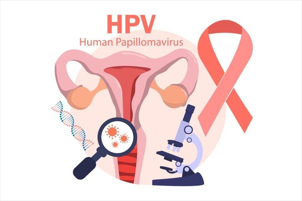 HPV. için bitkisel destek  