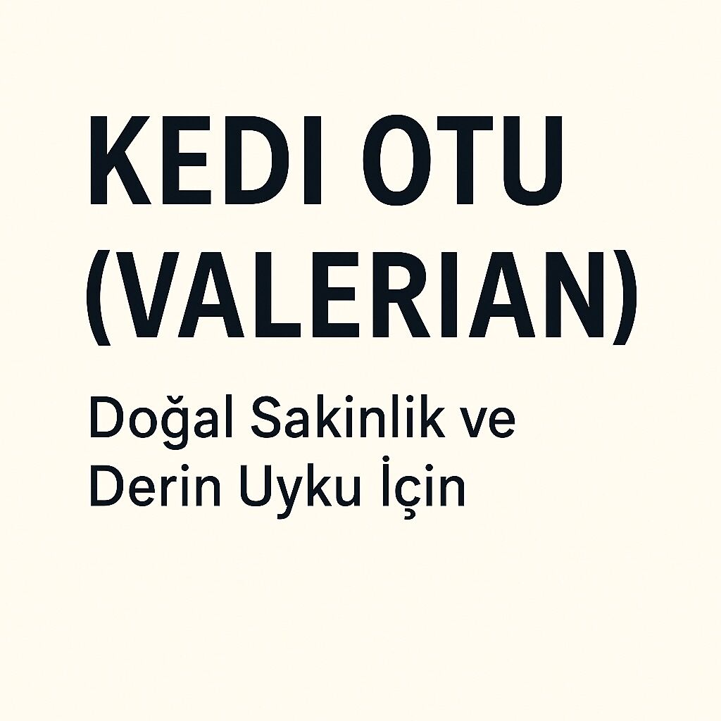 kedi otu