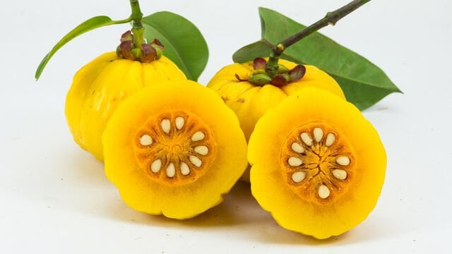 Garcinia cambogia