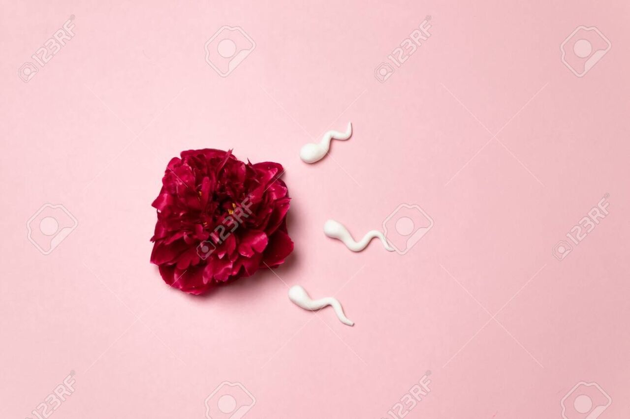 Paeonia sp. (Şakayık): Şakayık Bitkisi Sperm Kalitesi