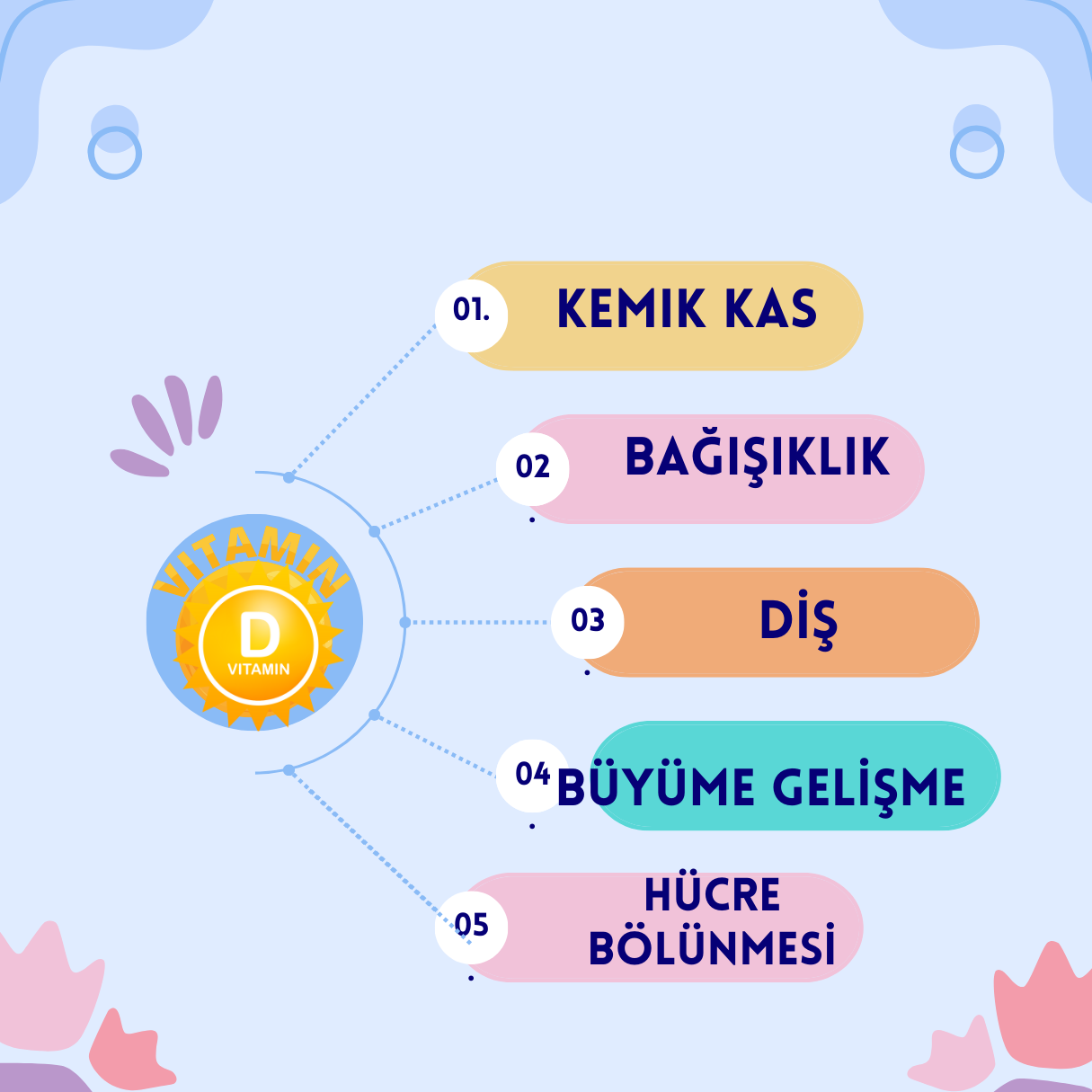 D VİTAMİNİ