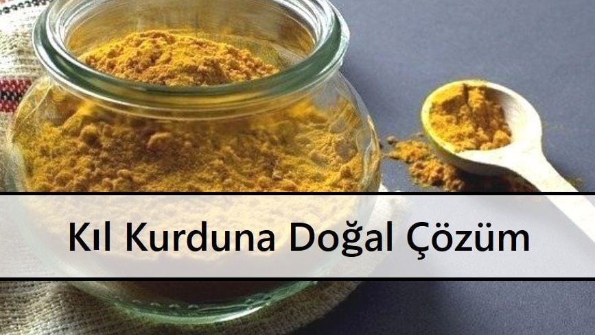 KIL KURDU BİTKİSEL DESTEKLER
