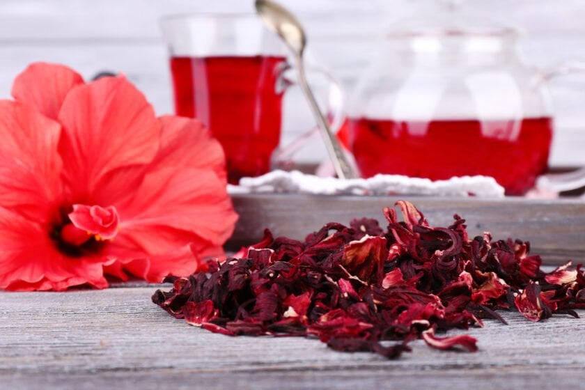 Afrika bamyası HİBUSKUS  (Hibiscus sabdariffa)