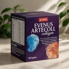 Artecoll Kollejen