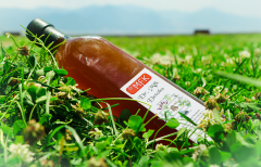 Fiit Detox Sirkesi