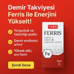 Ferris Sprey (Demir)
