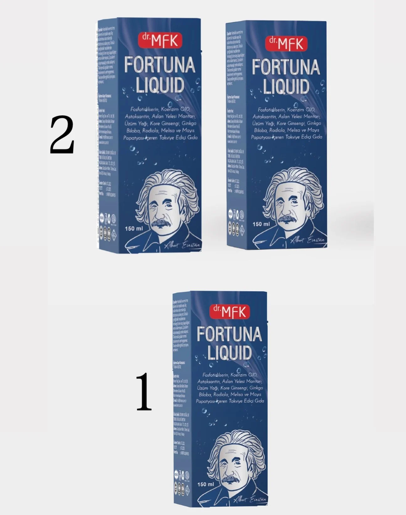 FORTUNA KAMPANYA